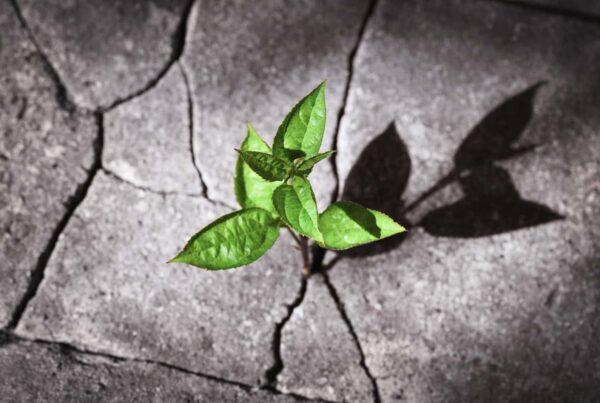 Building Resilient Organizations: How to Prepare for Uncertain Times